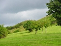 Dsc00016