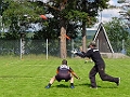 Dsc00080