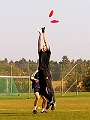 DDC_NiklasTipp