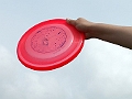 sun15_guess_who