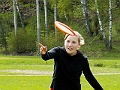 sun33_ms_grundstrom