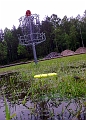 pic211